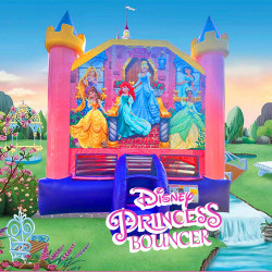 Disney Princess Bounce House 13